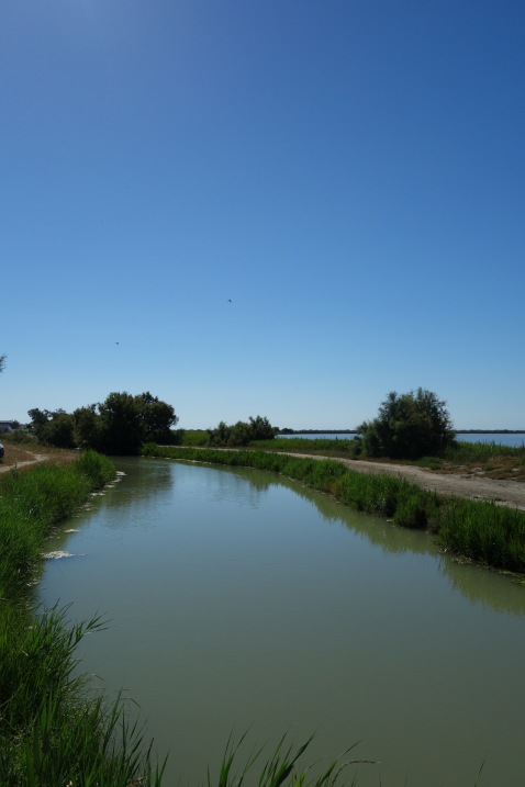 An uninspiring photo, but a lovely place. The Camargue, a national park on the Southernmost Mediterranean coast in France