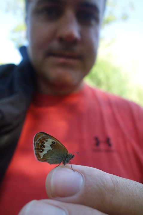 Luke rescued a butterfly from the hot car, but it didn't want to leave his finger.