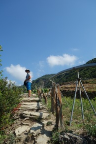 We went for a nice long hike from one village to another (Manerola to Consiglia)