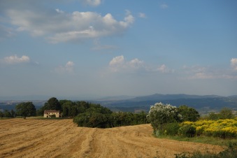 Tuscan countryside. It's exactly what you'd imagine, right?
