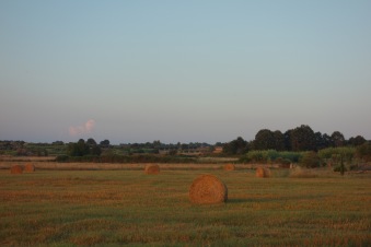Golden hour on haybales at our farmstay