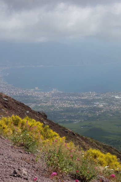 A view after an intense slog up Mt Vesuvius.