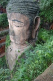 Buddha from the top