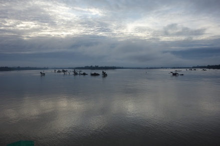 We didn't take pictures of the dolphins because it would have looked boring. But here's the morning Mekong!